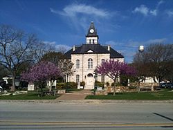 Somervell Co. TX courthouse 20100401